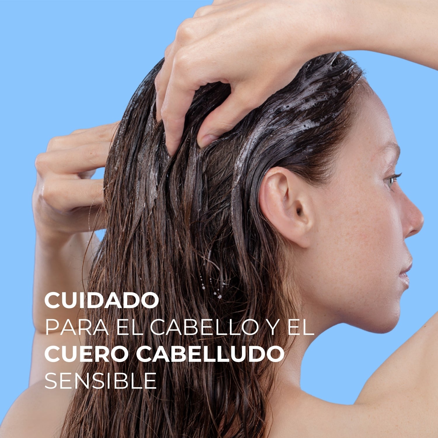 Sebo Bajo Control